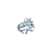 Load image into Gallery viewer, SPECIMEN 111 SIZE:4-5
