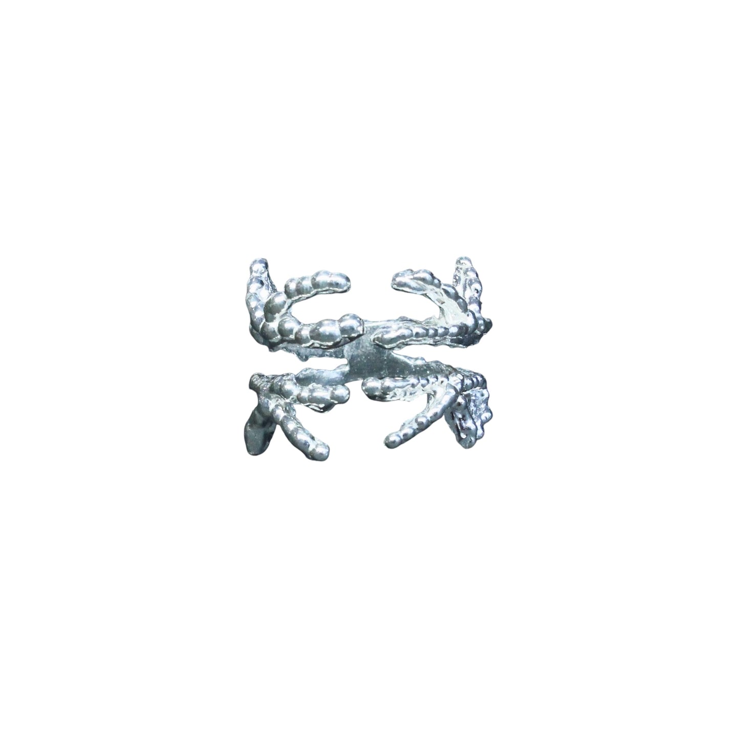 SPECIMEN 111 SIZE:4-5